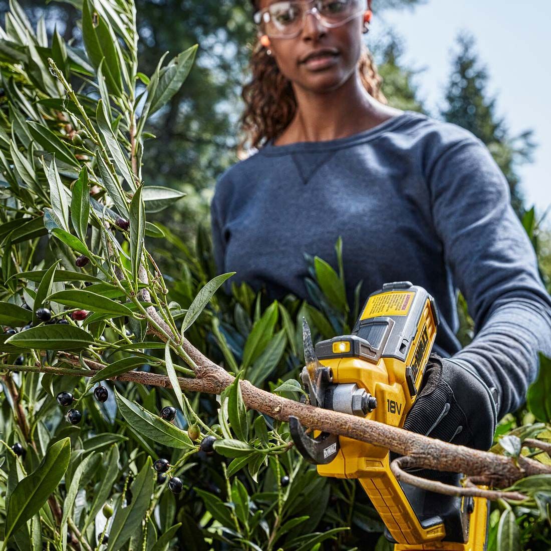 DeWalt DCMPP568P1 18v XR Akku 38mm Pruner inkl. 1x 5.0Ah Akku